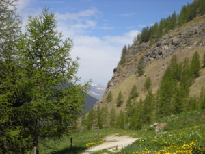 DSCN0321